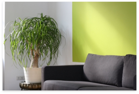 Wandfarbe Gruen mit heller optik